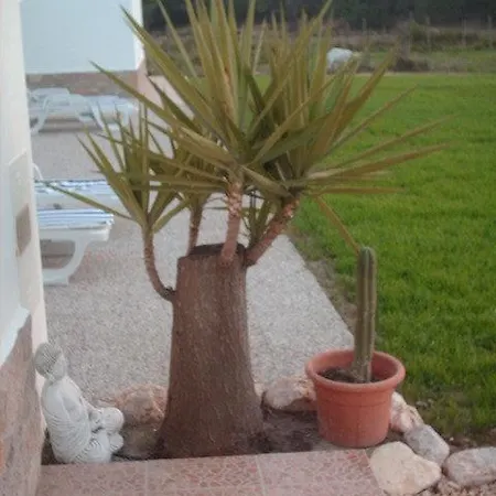 Quinta Da Bunheira *