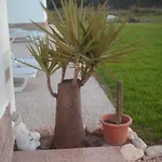 Quinta Da Bunheira *